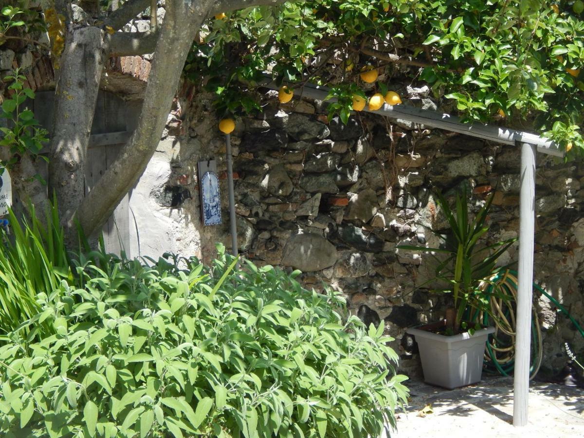 B&B Pie Del Castello Levanto Dış mekan fotoğraf